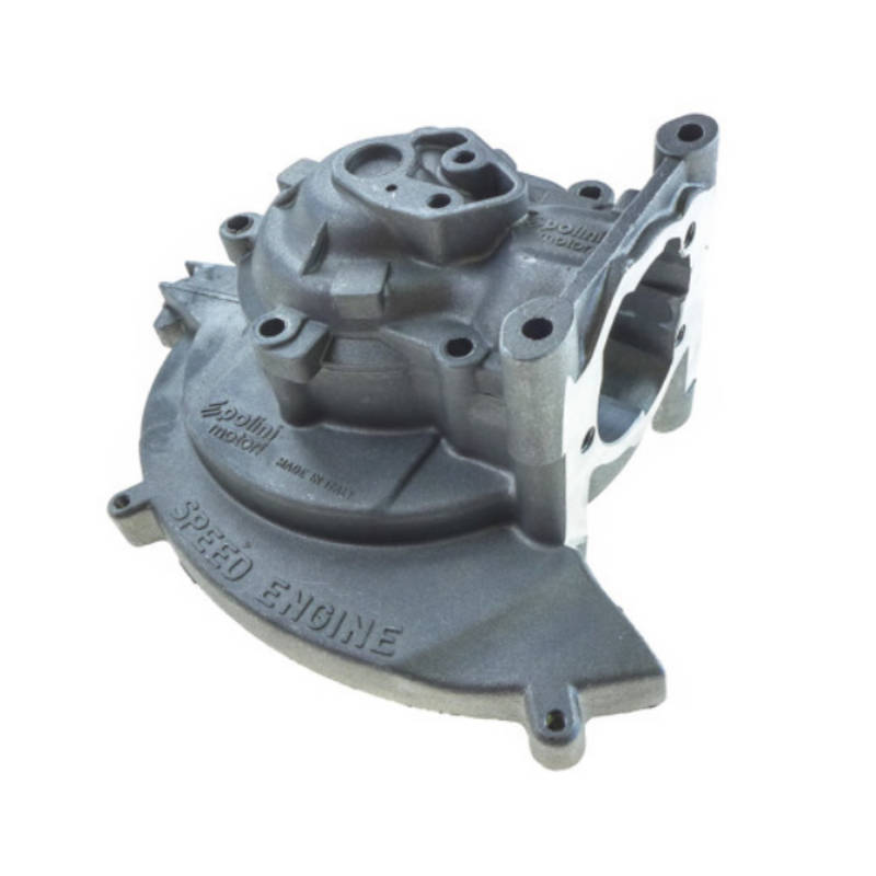 010200-1_PoliniSpeedEinine